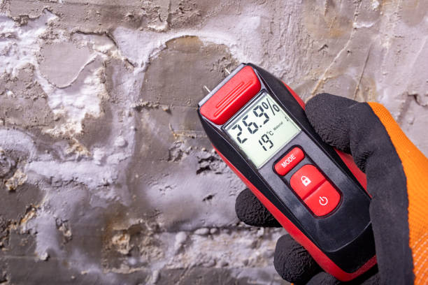 Best Bathroom Mold Remediation in Triangle, VA