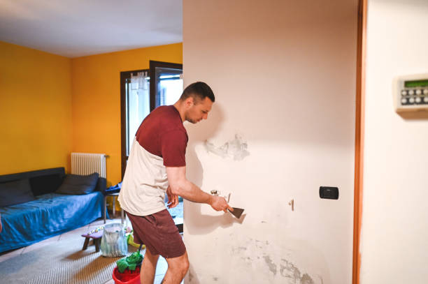 Best HVAC Mold Remediation in Triangle, VA