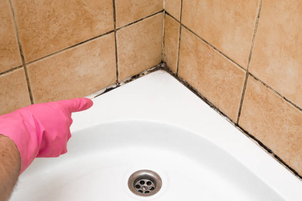 Triangle, VA Mold Remediation Company